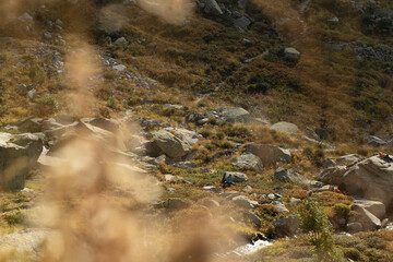 Gelmersee, Rundwanderweg
