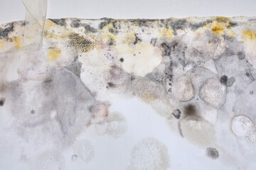 Moldy wall in the home due to high wet