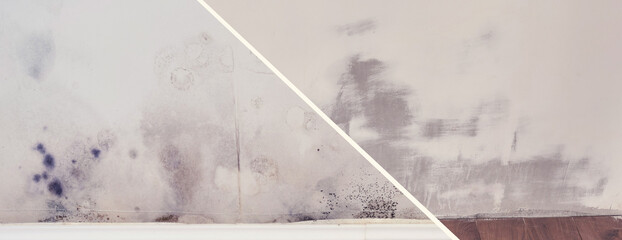 Stripping wall from the mold. Before and after removal of plaster to the mould and wallpaper.
