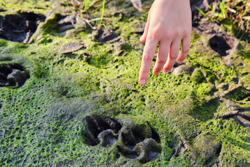 Woman shows his hand on the footprints, close up