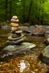 Equilibrium  in Nature