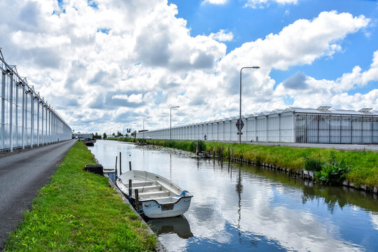 The Westland is famous all over the world because of the Glass greenhouses. Westland, Glass City, South Holland, Netherlands, Holland, Europe.