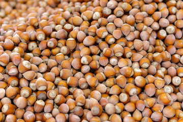 hazelnuts and nuts sale of fresh crop on the market. selective focus