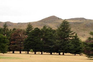 sierra de la ventana argentina