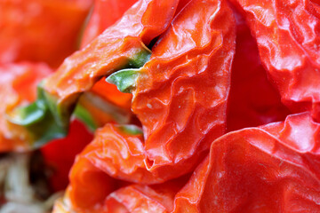 close-up dried sweet bell pepper