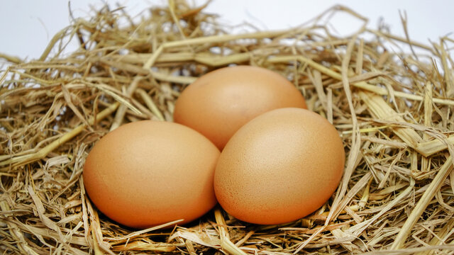 Eggs in hay 