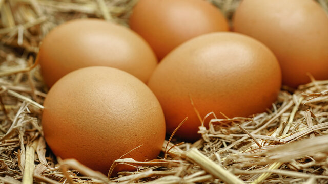 eggs on a haystack.Eggs in a nest.