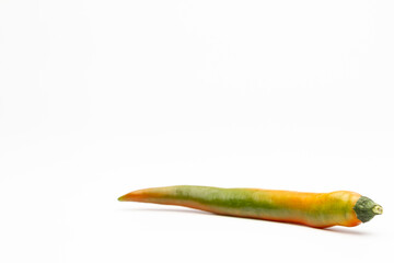 variegated hot chilly isolated on