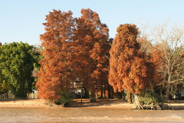 delta del paran&aacute;, argentina
