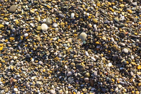 Background of smallpebbles round seal stones texture pack material by the black sea