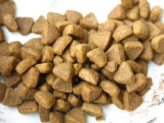 cat food pellets look like rocks or coffee
