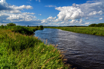 Pełnia lata w Dolinie Narwi. Piękno Podlaskiej przyrody, Polska © podlaski49