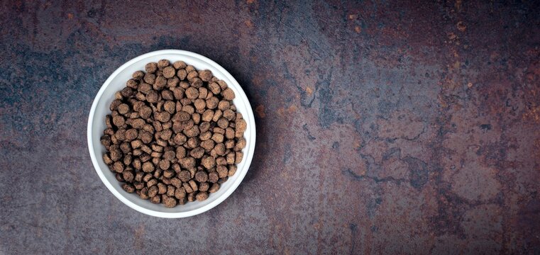 Bowl with dry food for pets on weathered background. Panoramic image with copy space. © Lightspruch