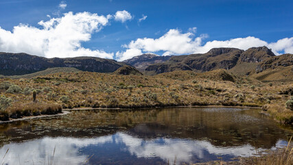 Fototapeta na wymiar Lake in Los Nevados National Natural Park in Colombia