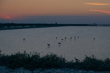 Naklejka premium Wonderfull colors of the sunset in the saline, Puglia Italy