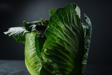 Obraz premium Fresh cabbage Head still life, selective focus