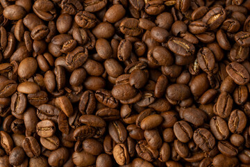 Close-up studio shot of freshly roasted espresso coffee beans.