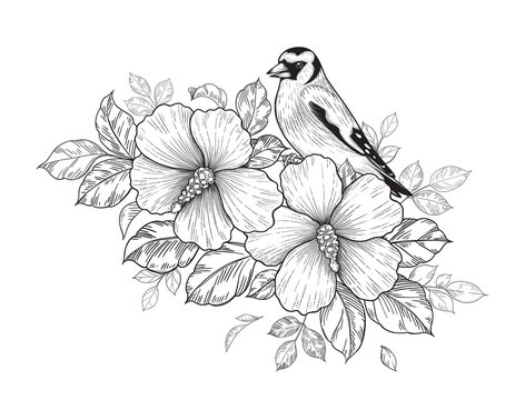 recommend clip art: Hand Drawn Goldfinch Sitting on Hibiscus Branch
