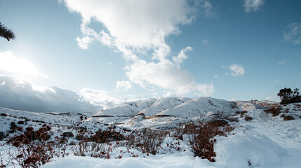 Winter landscape with snow