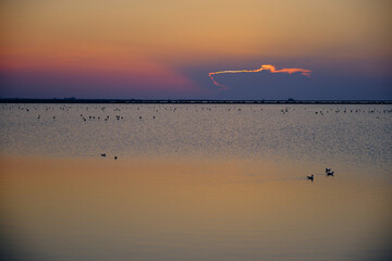 Wonderfull colors of the sunset in the saline, Puglia Italy