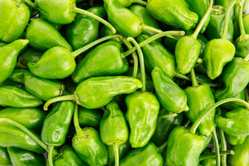 Fresh Padron pepper background. Capsicum annuum