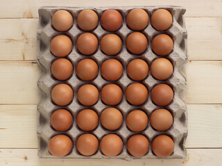 Fresh eggs on paper egg box.  Food ingredient for hight protein.