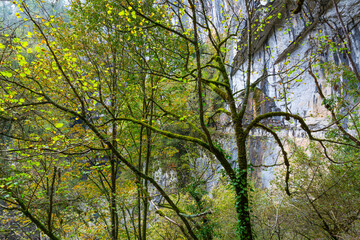 Fototapeta premium The Škocjan Caves, Green Karst, Slovenia, Europe
