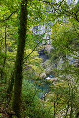 Fototapeta na wymiar The Škocjan Caves, Green Karst, Slovenia, Europe