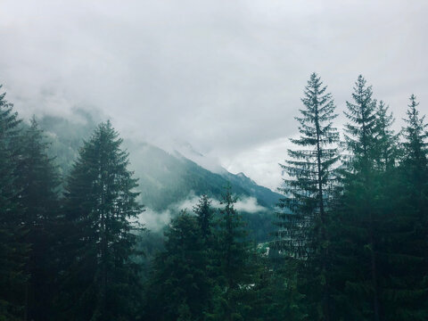 fog in the mountains dramatic