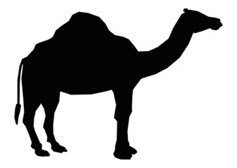 camel  vector  icon