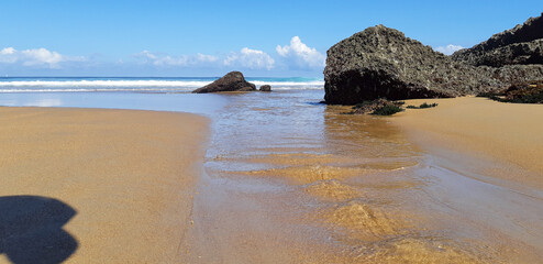 beach in the morning