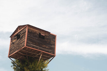 House on a tree