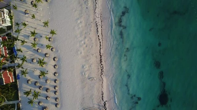 4K top down view onward aerial drone fly over the paradise beach with sun umbrellas, sun beds and blue water of Atlantic Ocean at sunrise in Bavaro, Punta Cana, Dominican Republic 