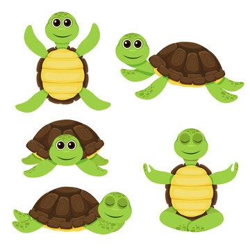 Set of cartoon cute turtle. Funny little turtles