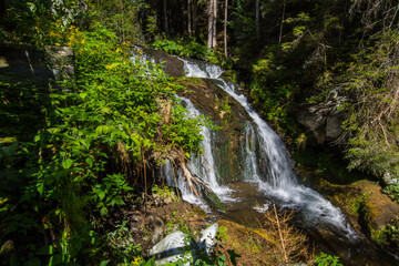 Fototapeta na wymiar waterfall with plants in a forest