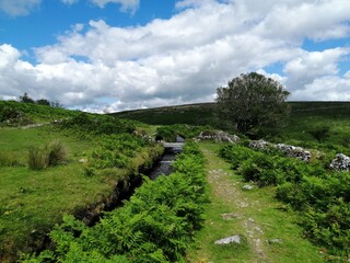 Fototapeta na wymiar View of the countryside
