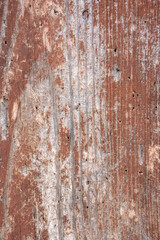 Obraz premium shabby weathered color door wood texture graphic resource