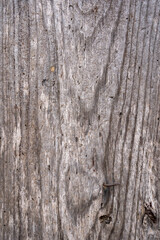shabby weathered color door wood texture graphic resource