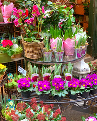 flowers in a shop