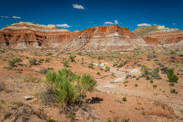 The Toadstool Trail at Grand Staircase-Escalante National Monument