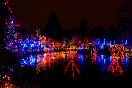 Vancouver, Canada, December 26, 2015: Christmas Lights At Night In Van Dusen Botanical Garden In Vancouver.