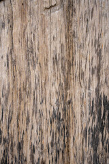 shabby weathered color door wood texture graphic resource