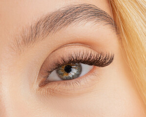 Eyelash extension procedure. Beautiful female eyes with long lashes closeup