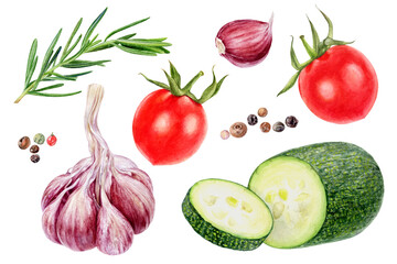 Garlic rosemary tomatoes peppercorns zucchini set watercolor painting isolated on white background