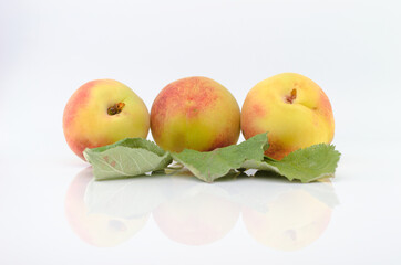 Good peaches fresh from the orchard.