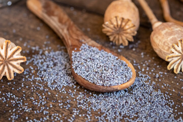 Poppy seeds on a spoon with poppy pods