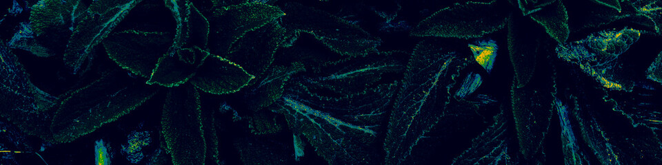 Green Environment Wallpaper. Dark Botanic Print.