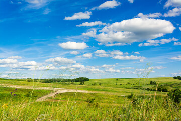 Summer landscape with meadows, roads and forests and a clear blue sky with clouds. Local travel