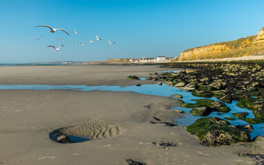 Scenic view of seagulls flying over the beach of Wimereux along the French Opal Coast.
