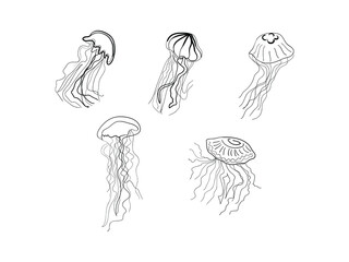 Set of hand drawn jellyfish isolated on white. Vector outline illustration. Design for card, print, title, pattern, postcard, poster, banner and etc.